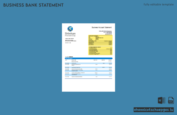 Shinhan Financial Group Unternehmensabschluss – Beispielvorschau (Word und PDF)